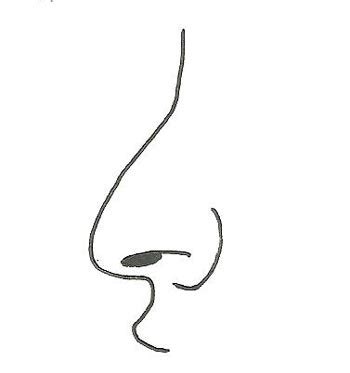Dibujo para colorear de una nariz – British Bubbles Guardería Salamanca