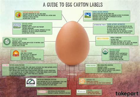 guide to buying eggs paleotool s weblog