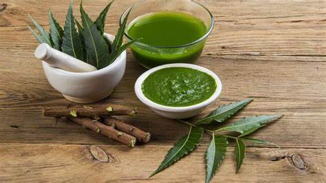 Step by step instructions to Use Neem To Cure Dandruff
