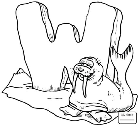 Cute Walrus Drawing at GetDrawings | Free download