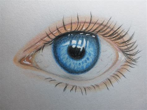 Desenho De Olho Realista Com Lápis De Cor Olhos Desenho Olhos