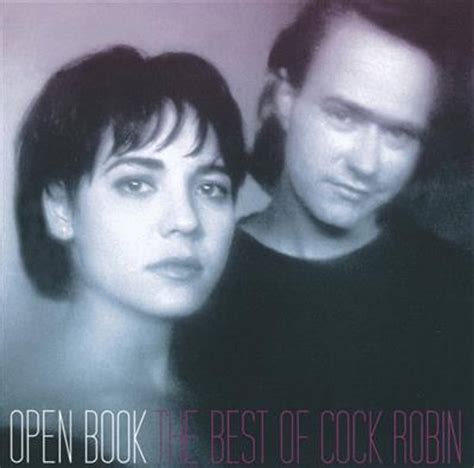 Cock Robin Open Book The Best Of Cock Robin Cd Powermaxxno