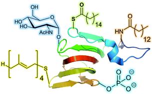 Selective installation of biochemical probes has led to a for controlled, selective access to such modified proteins, a unique chemical handle is required. Getting a chemical handle on protein post-translational ...
