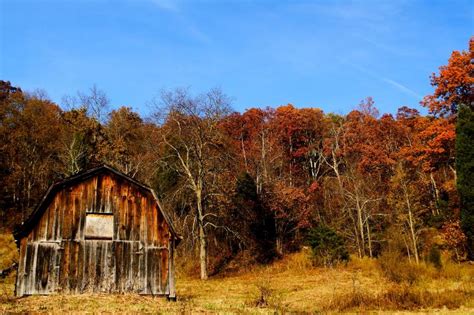 Free Download Autumn Country Barn Fall Leaves Sky Structures Nature