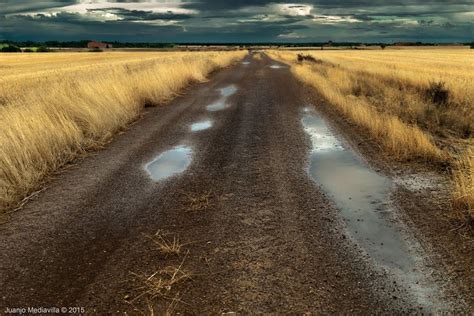 Caminos De Tierra Camino De Tierra Paisajes Caminos Rurales