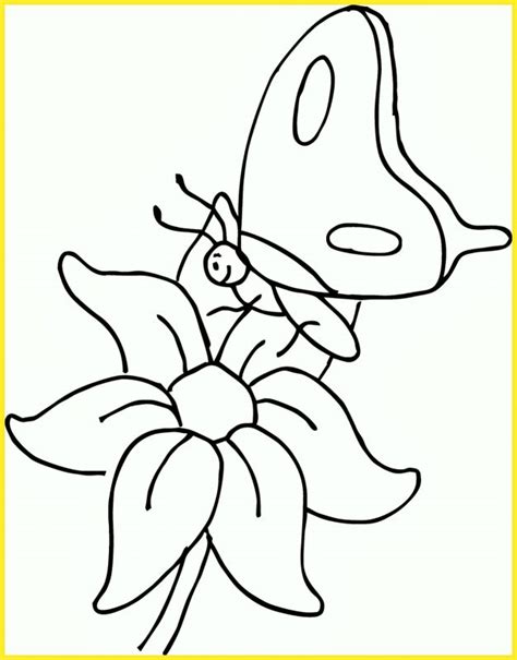 Gambar sketsa kupu kupu sangat cantik yang saya berikan diatas mempunyai daya tarik tersendiri bagi orang yang akan menggambarnya. +2021 Gambar Sketsa Kupu-Kupu: Indah, Cantik, Mudah Dibuat ...