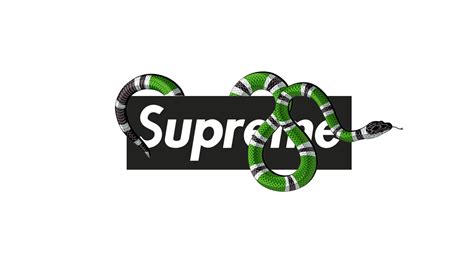 Supreme Gucci Pc Wallpapers Top Free Supreme Gucci Pc
