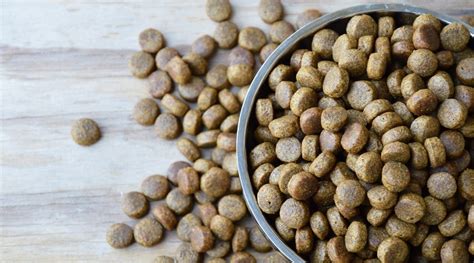 Lotus offers numerous protein options for the different needs and preferences of cats. American Journey Dog Food Review: Recalls, Prices & More