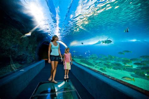 The Maui Ocean Center Is A Large Modern Aquarium With Numerous Indoor
