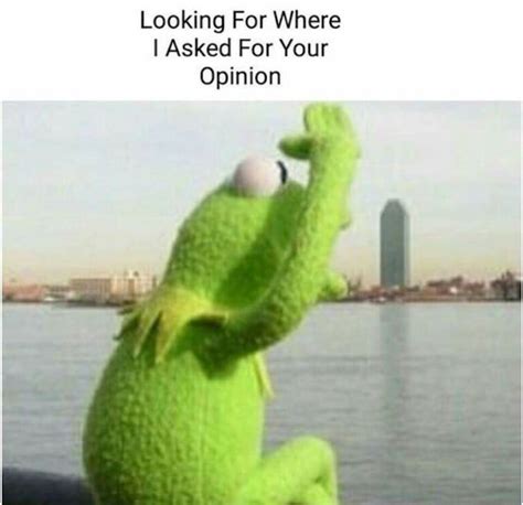 Dont Miss A Rainbow Connection The Best Kermit The Frog Memes Film Daily