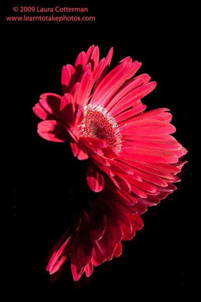 394 Best Images About Reflections On Pinterest Flower