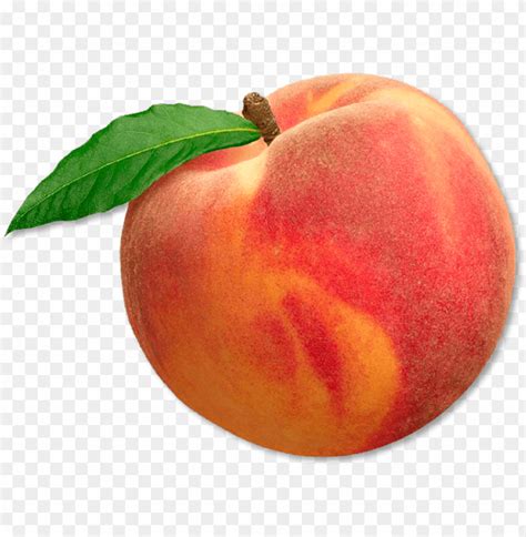 Download Peach Png Transparent With Clear Background Id 227788 Toppng