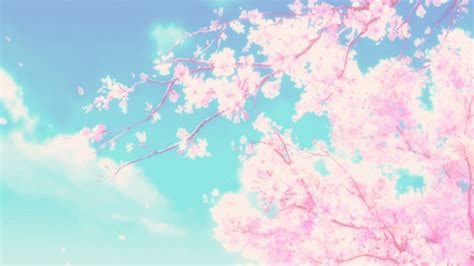 Sakura Anime  Wiffle