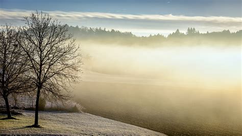 Winter Tomorrow Fog Early Free Photo On Pixabay