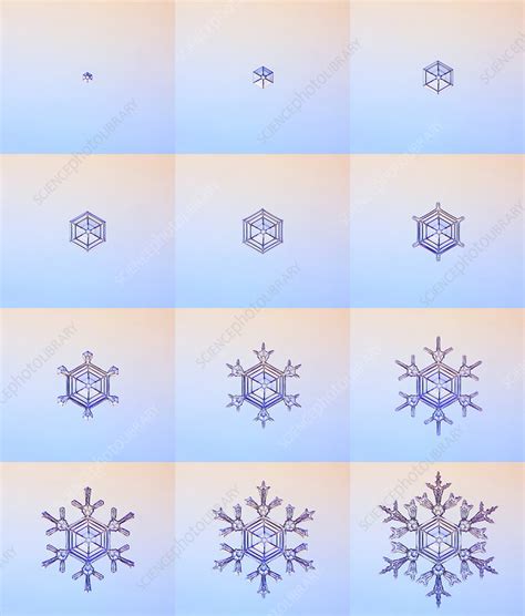 Snowflake Formation Montage Stock Image C0264548 Science Photo