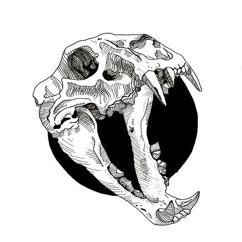 Animal Skull Drawing Pin By Rebecca Preble On Anarchy Skulls Drawing