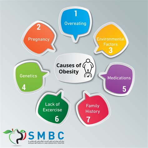 Causes Of Obesity Smbc