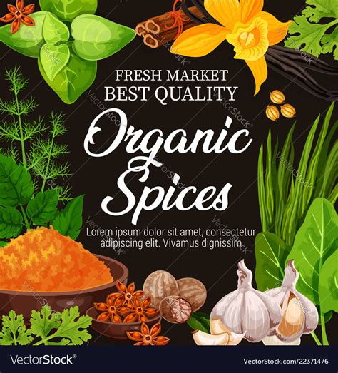 Natural Herbs Organic Seasoning Spices Royalty Free Vector