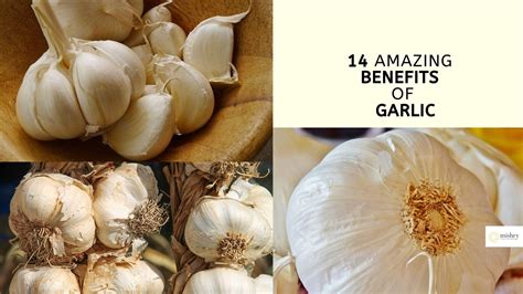 Garlic For Eyesight 14 Amazing Benefits Of Garlic