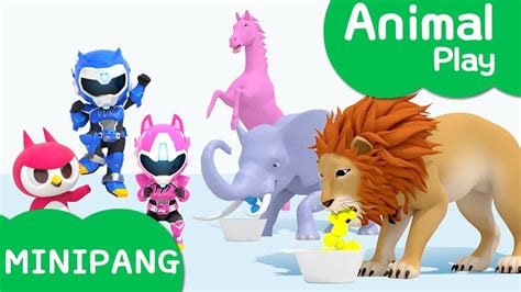 Learn Colors With Miniforce Feeding Hungry Animals Color Play