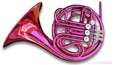 Details About Pink Bbf Double French Horn Sterling Pro Quality