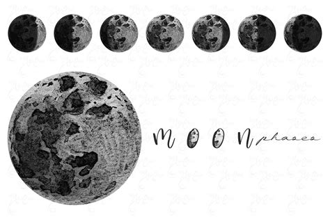 The Moon Phases Clipart Watercolor Moon Blush Moons Waxing Etsy