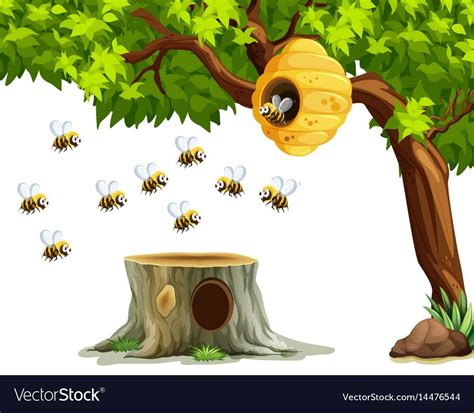 Bee Hive In Tree Stump Caroyln Edgar