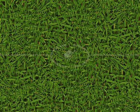 Green Grass Texture Seamless 13027