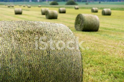 Foto De Stock Hay Bale Libre De Derechos Freeimages