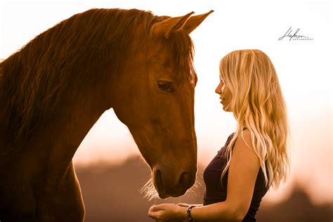 Pferd Und Mensch Im Sonnenuntergang Pferde Fotografie