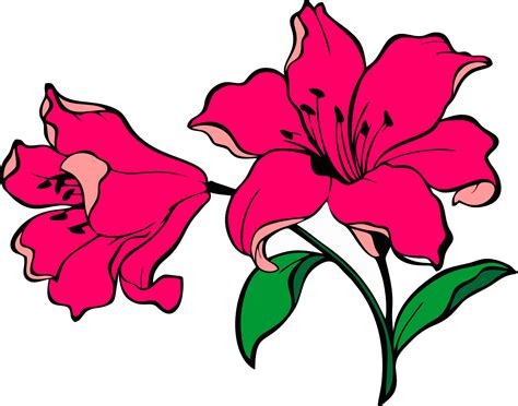 Wajib Tahu Contoh Gambar Bunga Vektor Kekinian Informasi Seputar