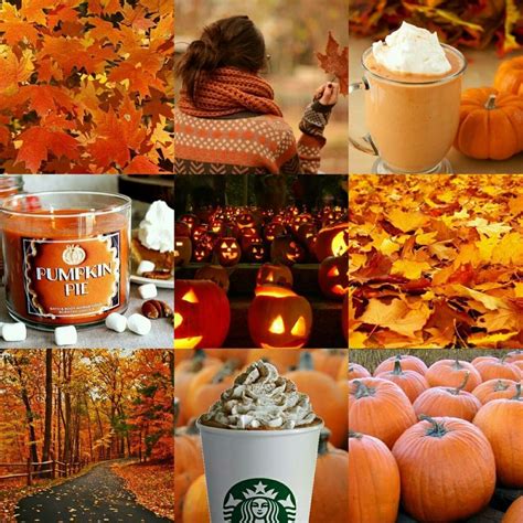 Pin By Ericka Toombs On Fallhalloweenthanksgiving Autumn Aesthetic