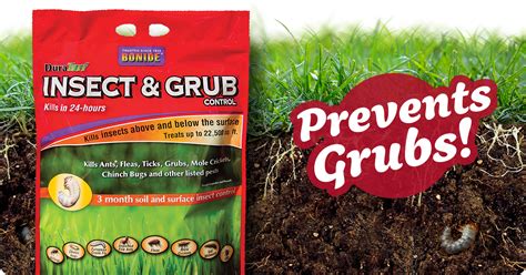 How To Get Rid Of Grub Worms In Your Lawn Ifas Helping To Grow Blog