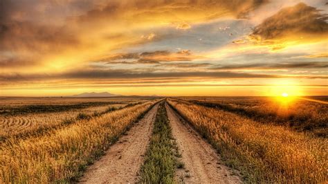Hd Wallpaper Country Road Sunset Field Pathway Sky Landscape