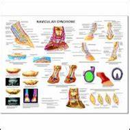 Veterinary Tools Charts Posters