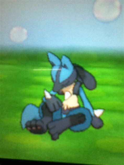 My Lucario Is Sleeping By Night Of Rise On Deviantart