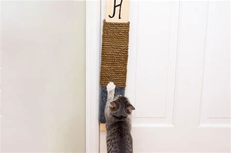 We put this diy cat scratcher guide together for you and your cat to discover new ideas that will make you both very happy! DIY Cat Scratching Post | HGTV