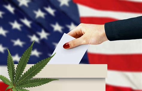Marijuana Legalization 2020: 16 States May Legalize ...