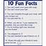 10 Fun Facts Pictures Photos And Images For Facebook Tumblr 