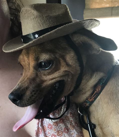 Bought This Lad A Cowboy Hatifttt2nq8jxf Cowboy Hats