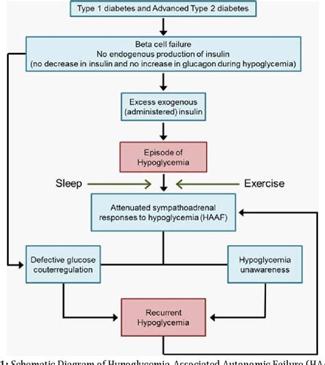 Prevalence Of Hypoglycemia In Patients With Type 1 Diabetes And