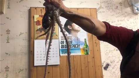 Eating Live Octopuses In Seogwipo Jeju Youtube
