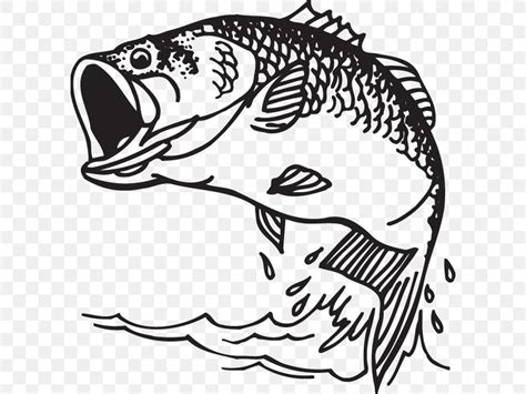 Largemouth Bass Clipart Black And White 10 Free Cliparts Download