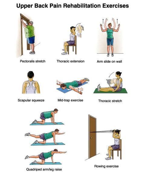 19 Best Physiotherapy Exercises For Back Pain Images On Pinterest