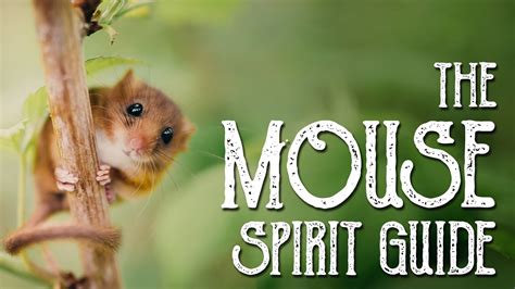 The Mouse Spirit Guide Ask The Spirit Guides Oracle Totem Animal