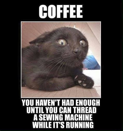 Caffeine And Sewing Funny Cat Memes Cat Memes Funny Animal Pictures