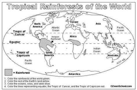 Rainforests are home to over half of the world's plant and animal species. rainforest map activity/coloring … | Rainforest classroom ...