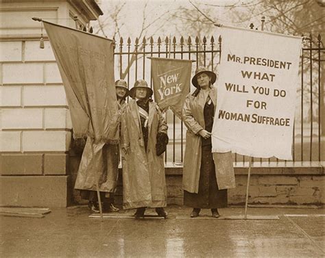 womens suffrage protest signs