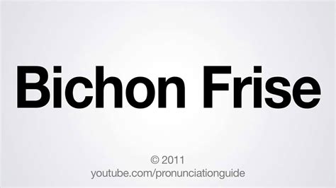 Listen to the audio pronunciation in english. How to Pronounce Bichon Frise - YouTube