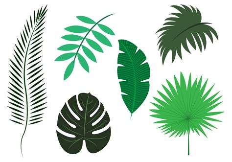Vector Set Of Palm Leaves Download Free Vector Art Stock Graphics